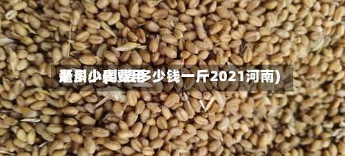 淅川小麦费用是多少(小麦多少钱一斤2021河南)-第2张图片