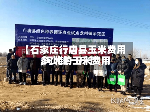 【石家庄行唐县玉米费用,河北的玉米费用多少钱一斤】