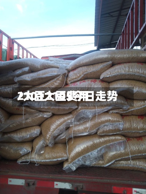 2101大豆费用/大豆2105今日走势