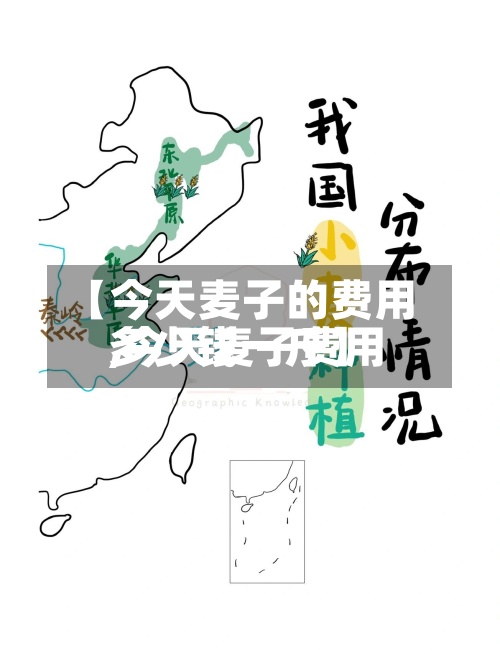 【今天麦子的费用,今天麦子费用多少钱一斤】