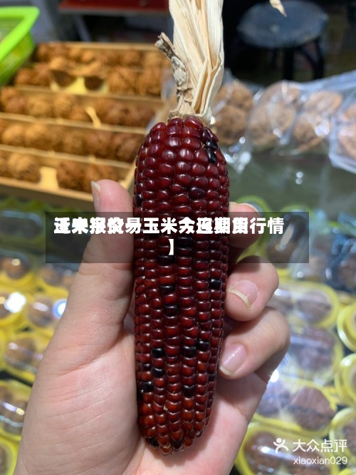 近来【大宗交易玉米今日费用玉米报价一玉米大连期货行情】