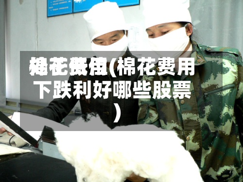 棉花费用处于低位(棉花费用下跌利好哪些股票)-第3张图片