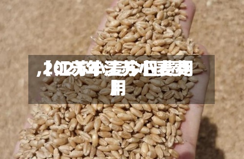 【江苏小麦今日费用,2021年江苏小麦费用】