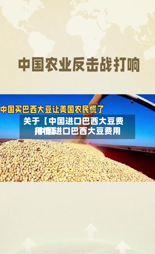 关于【中国进口巴西大豆费用,中国进口巴西大豆费用行情】