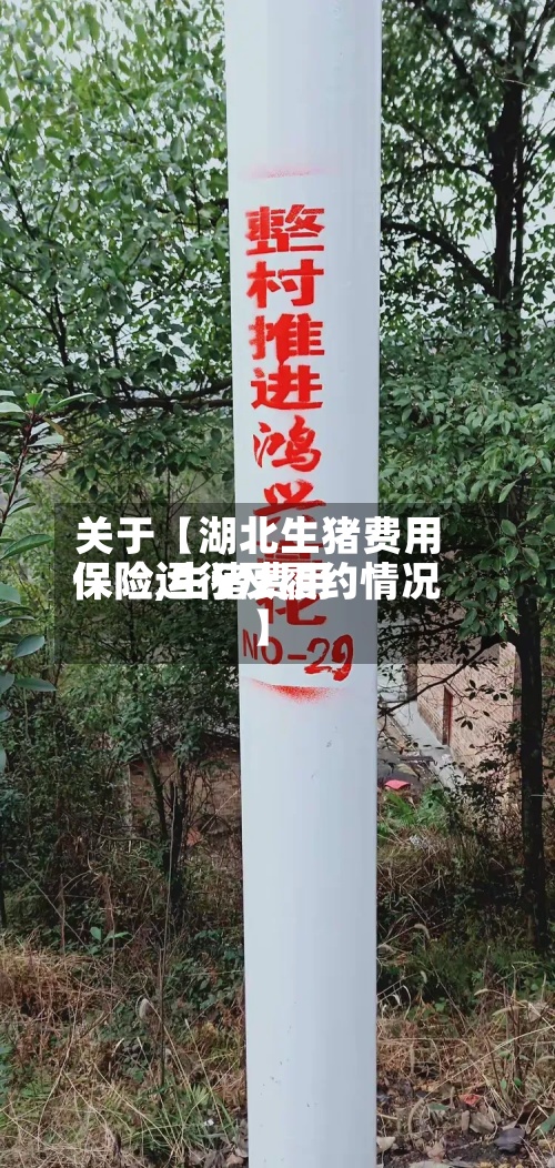 关于【湖北生猪费用保险,生猪费用保险运行及履约情况】