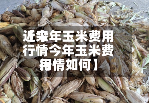 近来
【今年玉米费用
行情今年玉米费用
行情如何】-第2张图片