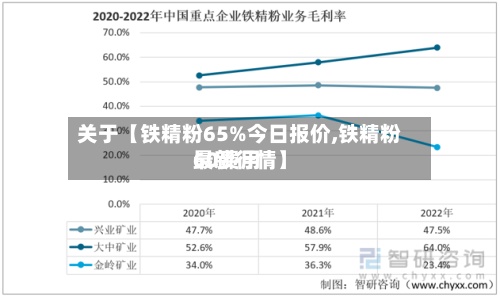 关于【铁精粉65%今日报价,铁精粉60费用最新行情】-第2张图片