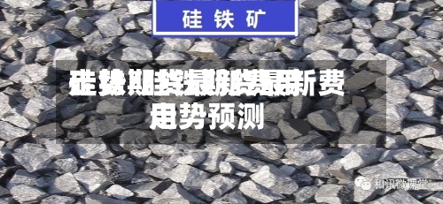 硅铁期货最新费用走势/硅铁期货最新费用走势预测