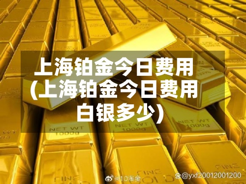 上海铂金今日费用(上海铂金今日费用白银多少)-第2张图片
