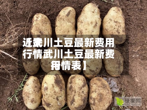 近来【武川土豆最新费用行情武川土豆最新费用行情表】