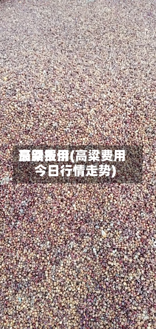 高粱费用最新报价(高粱费用今日行情走势)