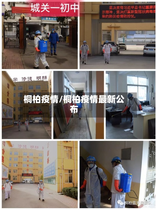 桐柏疫情/桐柏疫情最新公布-第3张图片