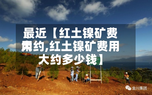 最近【红土镍矿费用大约,红土镍矿费用大约多少钱】