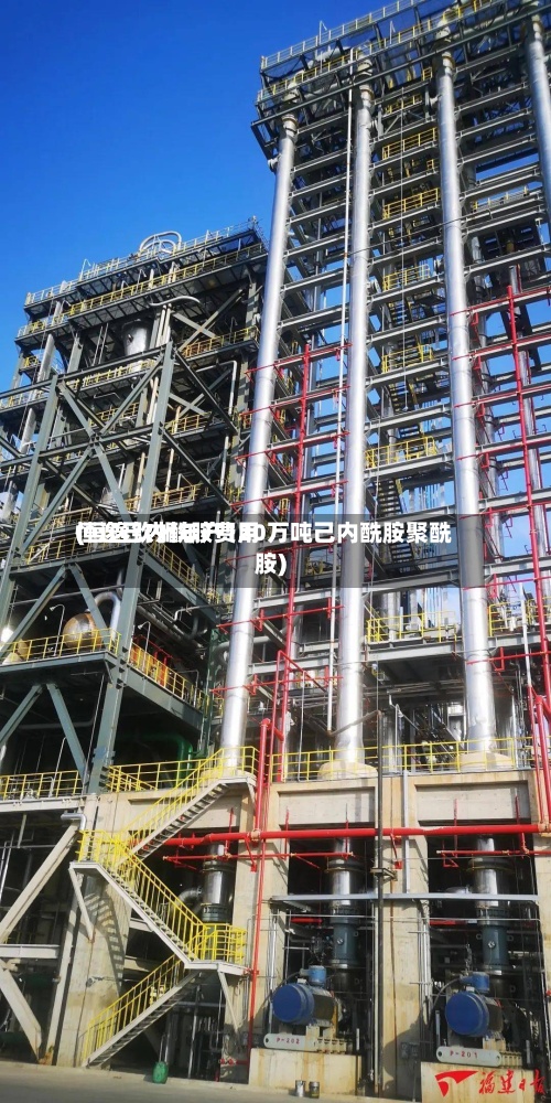 恒逸己内酰胺费用(恒逸钦州年产120万吨己内酰胺聚酰胺)