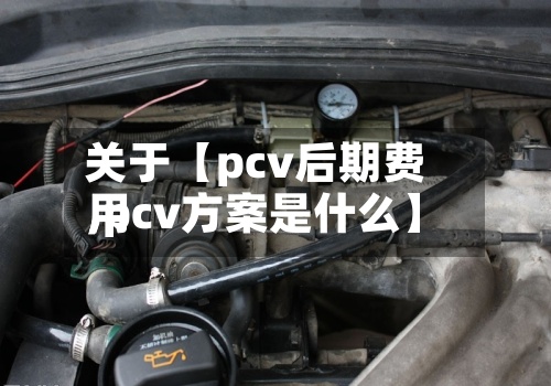 关于【pcv后期费用,pcv方案是什么】