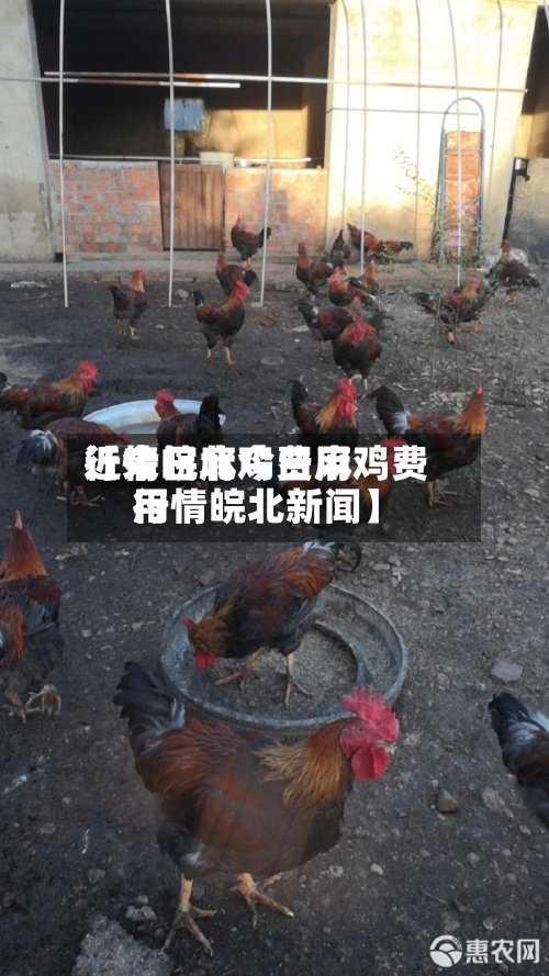 近来【今日麻鸡费用行情皖北今日麻鸡费用行情皖北新闻】