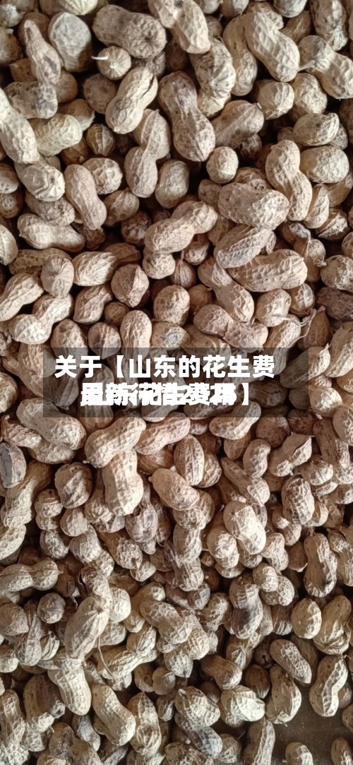 关于【山东的花生费用,山东花生费用最新行情2025】