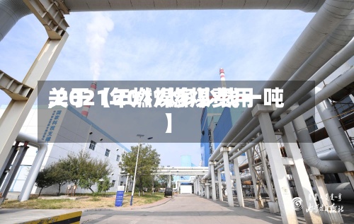 关于【2017燃煤费用,2021年燃煤多少钱一吨】-第2张图片