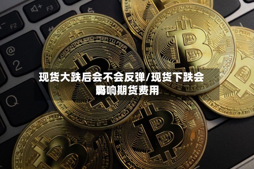 现货大跌后会不会反弹/现货下跌会影响期货费用
吗-第2张图片