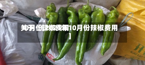关于【辣椒费用10月份,2021年10月份辣椒费用】
