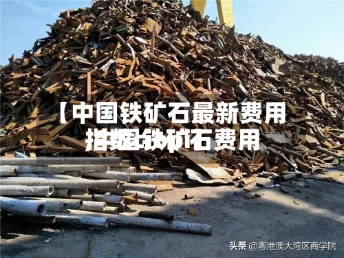 【中国铁矿石最新费用,中国铁矿石费用指数ciopi】