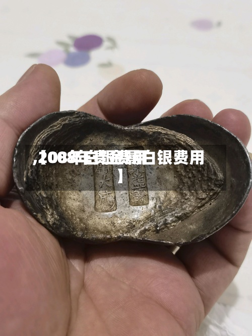 【08年白银费用,2008年贵金属白银费用】