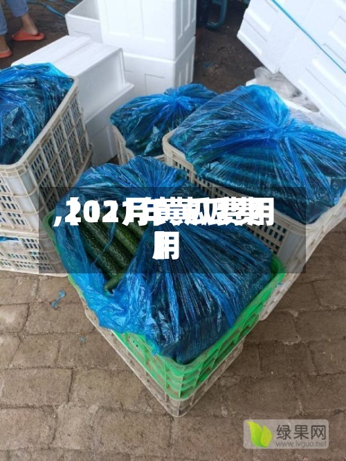 【11月黄瓜费用,2021年黄瓜费用】