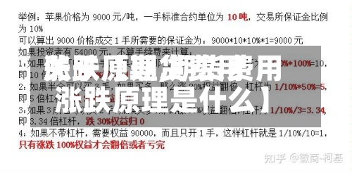 关于【期货费用涨跌原理,期货费用涨跌原理是什么】-第3张图片