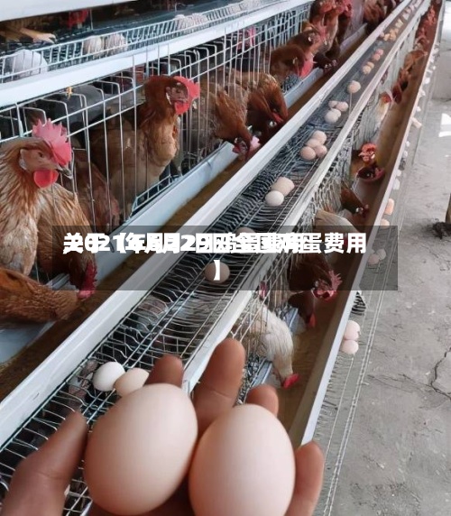 关于【6月22日鸡蛋费用
,2021年6月29日全国鸡蛋费用
】-第2张图片