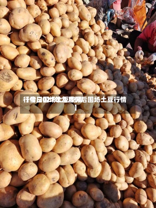 【今日围场土豆费用行情,2021年九月份后围场土豆行情】-第3张图片