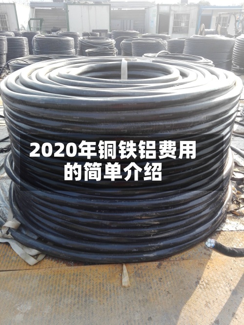 2020年铜铁铝费用
的简单介绍-第2张图片