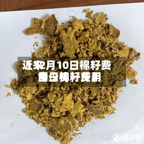 近来【12月10日棉籽费用今日棉籽费用多少钱一斤】