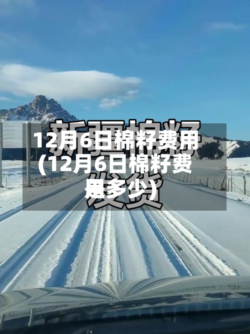 12月6日棉籽费用(12月6日棉籽费用是多少)