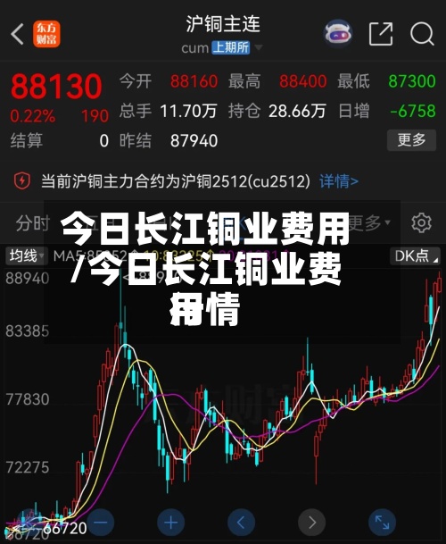 今日长江铜业费用/今日长江铜业费用行情