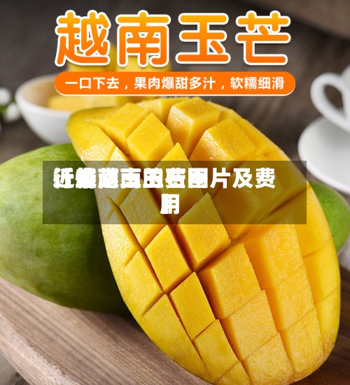 近来【越南玉的费用行情越南玉石图片及费用】-第3张图片