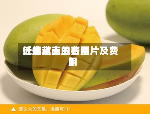 近来【越南玉的费用行情越南玉石图片及费用】
