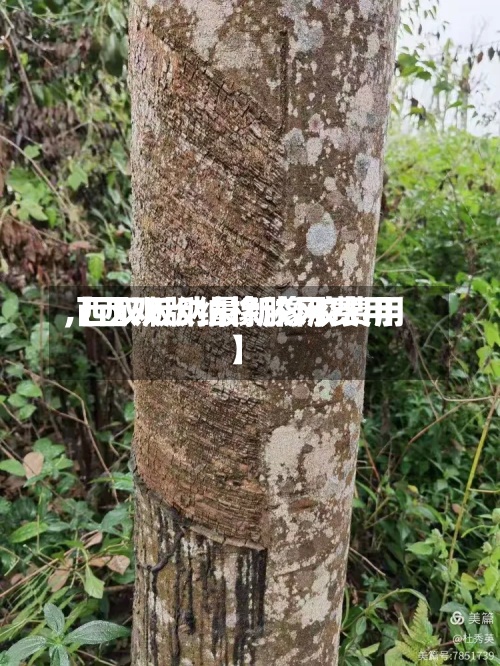 【西双版纳橡胶网费用,西双版纳最新橡胶费用】-第2张图片