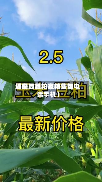 近来【周口豆粕豆粕费用周口豆粕厂家销售部电话手机】