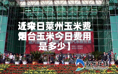 近来【今日莱州玉米费用烟台玉米今日费用是多少】