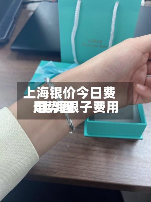 上海银价今日费用/上海银子费用走势图