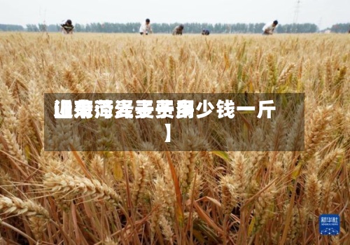 近来【菏泽麦子费用山东菏泽麦子多少钱一斤】-第2张图片