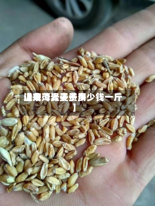 近来【菏泽麦子费用山东菏泽麦子多少钱一斤】