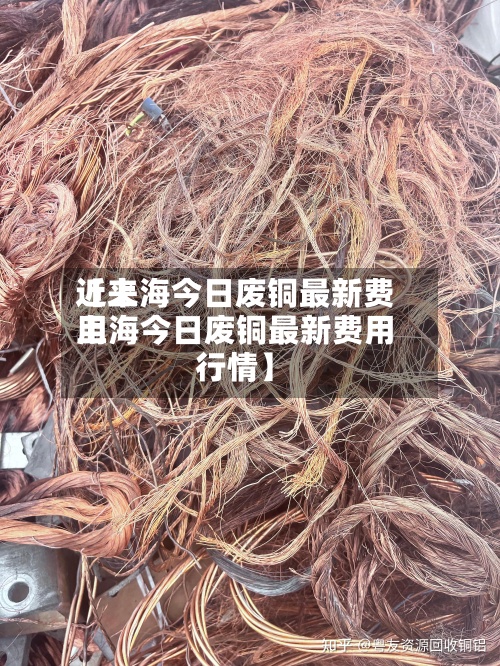 近来【上海今日废铜最新费用上海今日废铜最新费用行情】