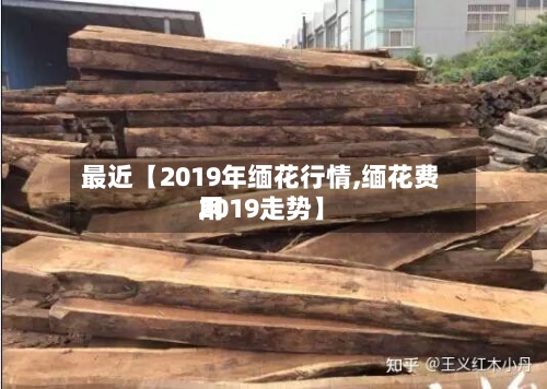 最近【2019年缅花行情,缅花费用2019走势】-第2张图片