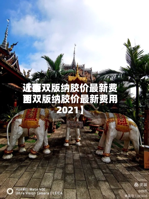 近来
【西双版纳胶价最新费用
西双版纳胶价最新费用
2021】-第3张图片