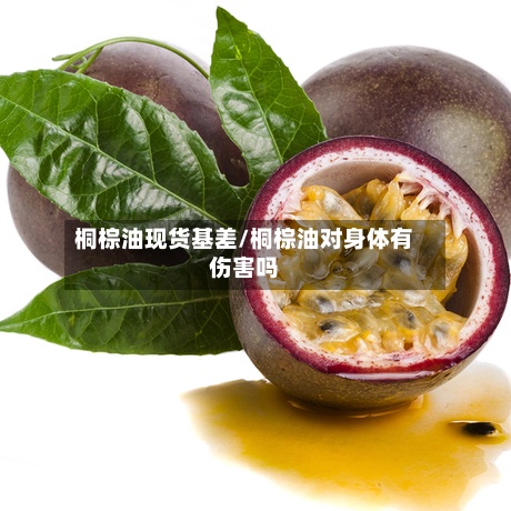 桐棕油现货基差/桐棕油对身体有伤害吗
