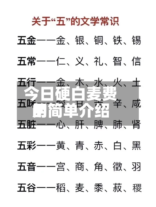 今日硬白麦费用的简单介绍