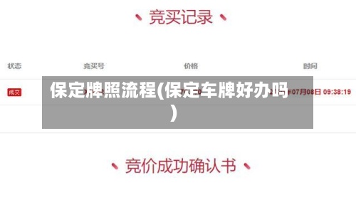 保定牌照流程(保定车牌好办吗)-第2张图片