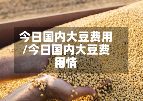 今日国内大豆费用
/今日国内大豆费用
行情-第3张图片