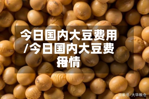 今日国内大豆费用/今日国内大豆费用行情